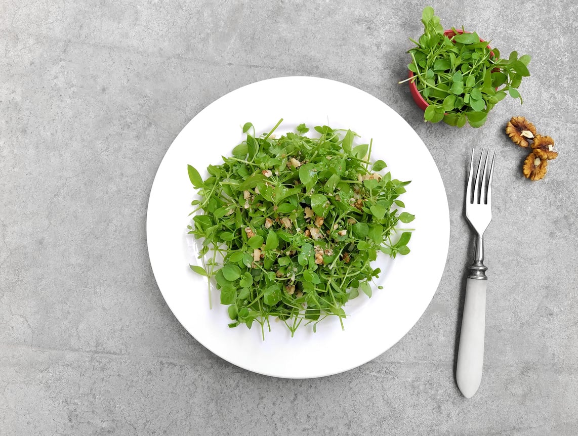 Microgreen salad.